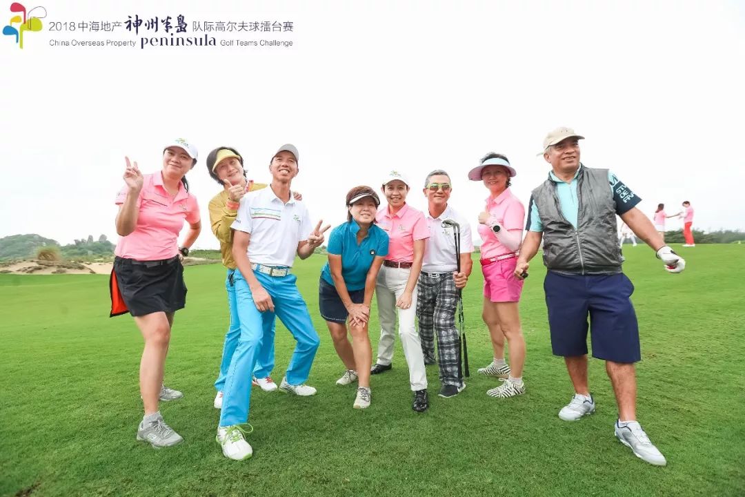 包含队际对决：团队合作在台球比赛中的重要性的词条