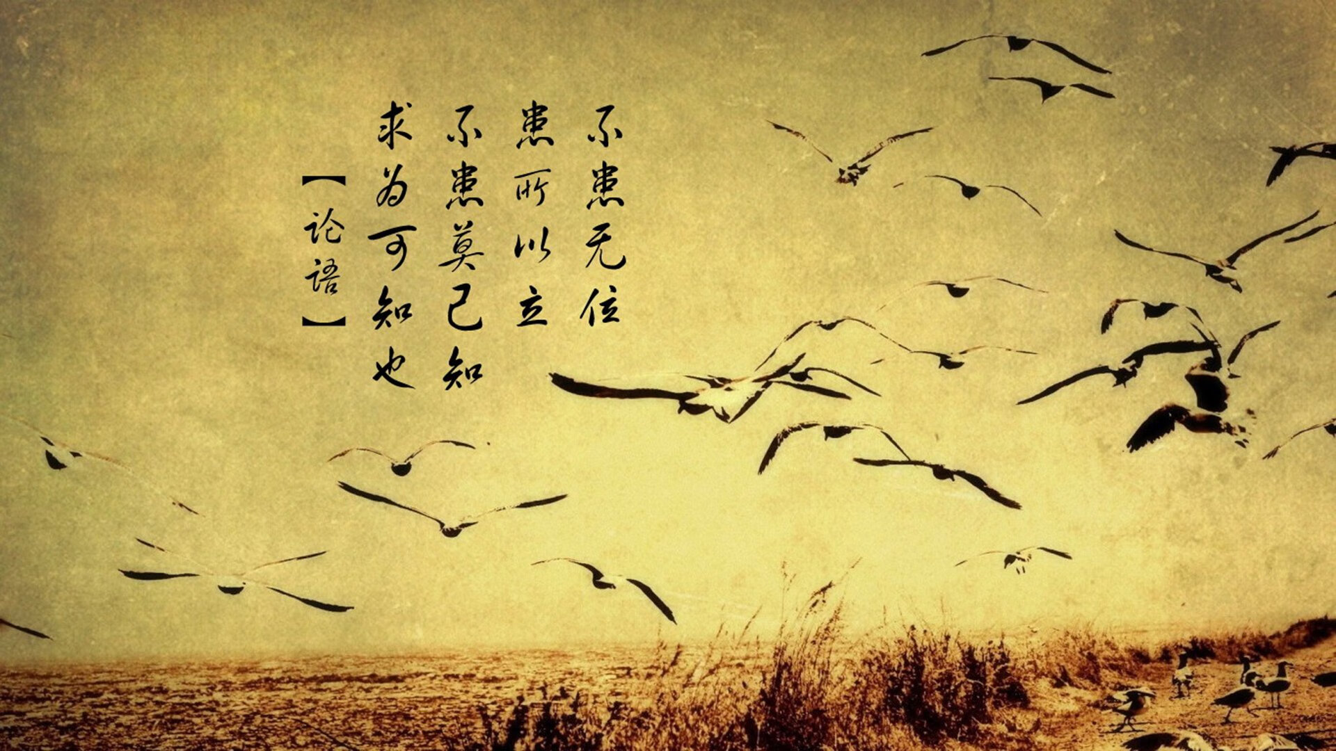 保利斯塔球员士气高涨，保利斯丹属于什么档次