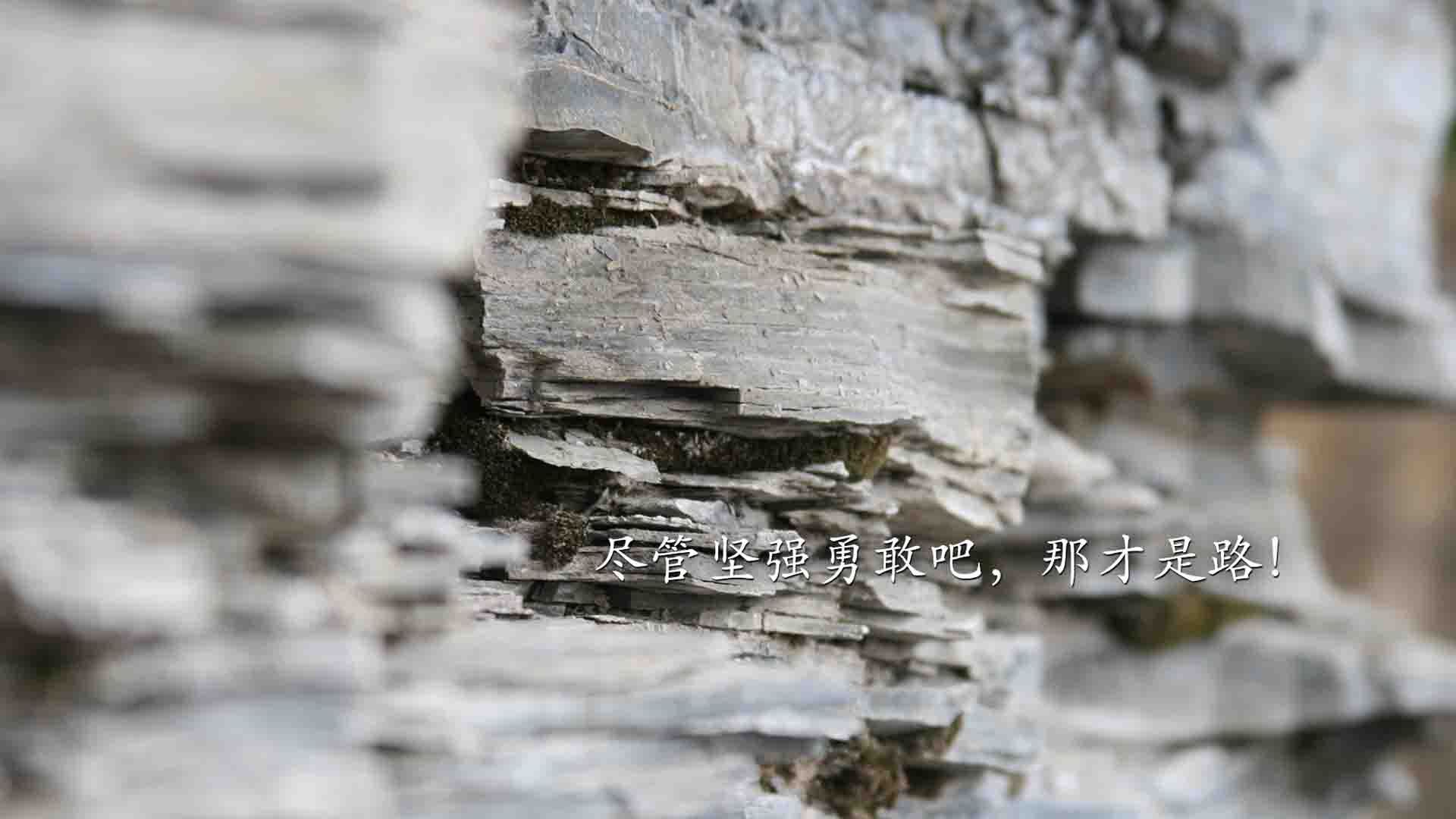 LEYU SPORTS中国官方网站-姆巴佩未来状态调整备受关注，姆巴佩的未来