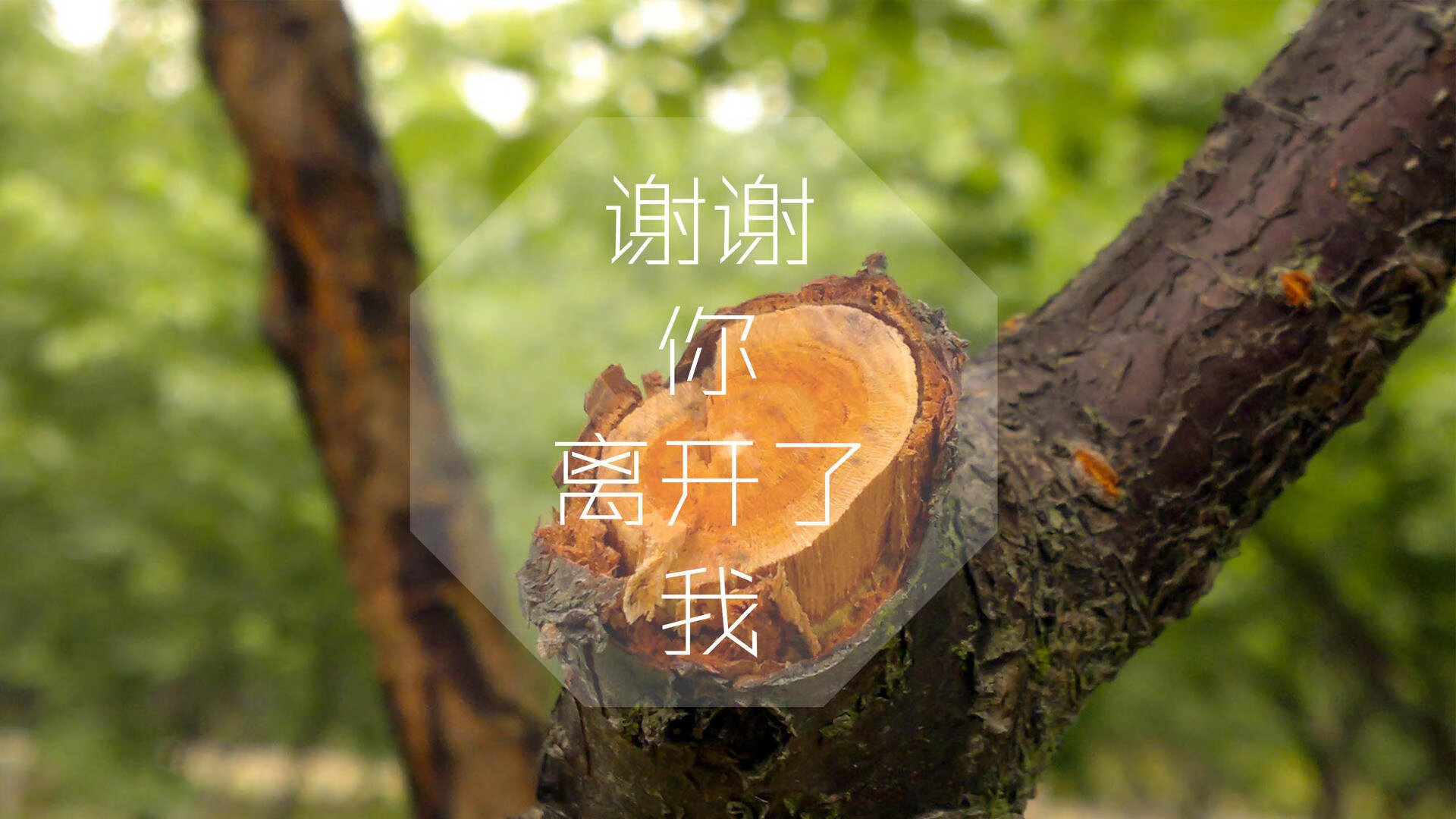 赛事数据揭示训练成果，赛事数据揭示训练成果怎么写
