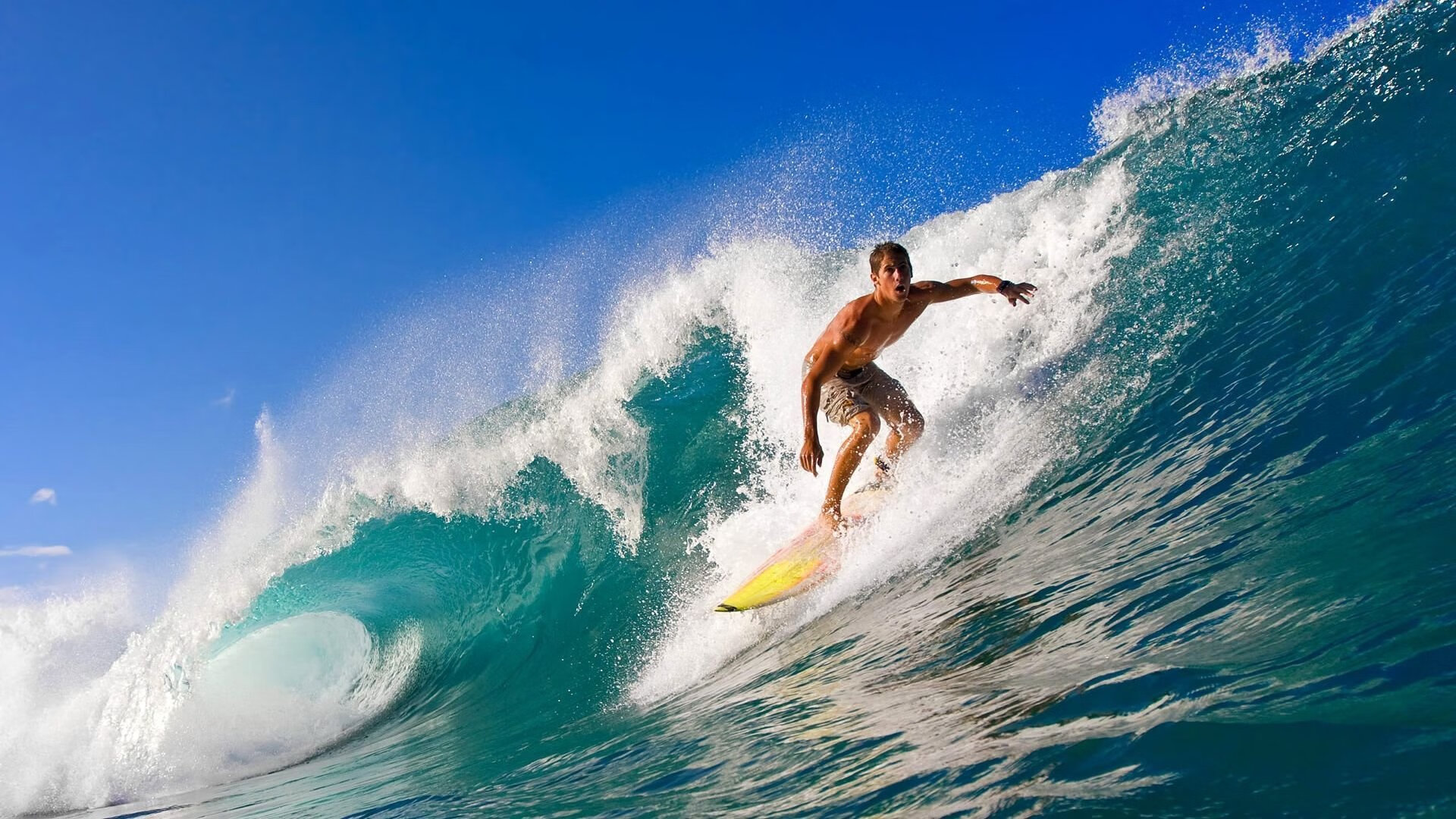 _极限飞行挑战赛：追风逐浪，勇者无惧_，极限飞行电视剧
