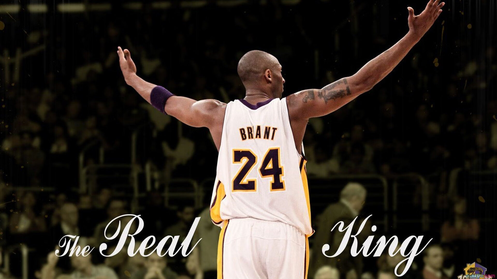 《玩家热议：最具人气的英雄或角色是谁？》，游戏人气角色排名